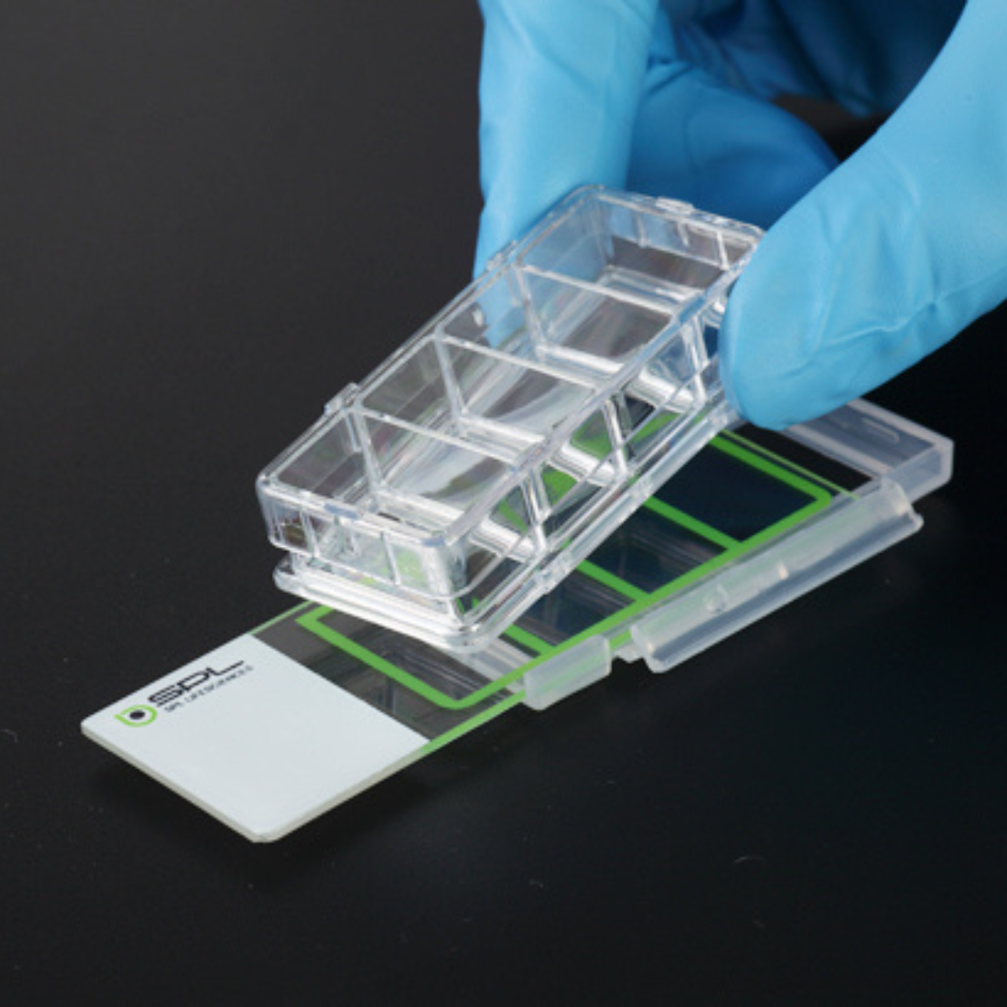 Cell Culture Slide