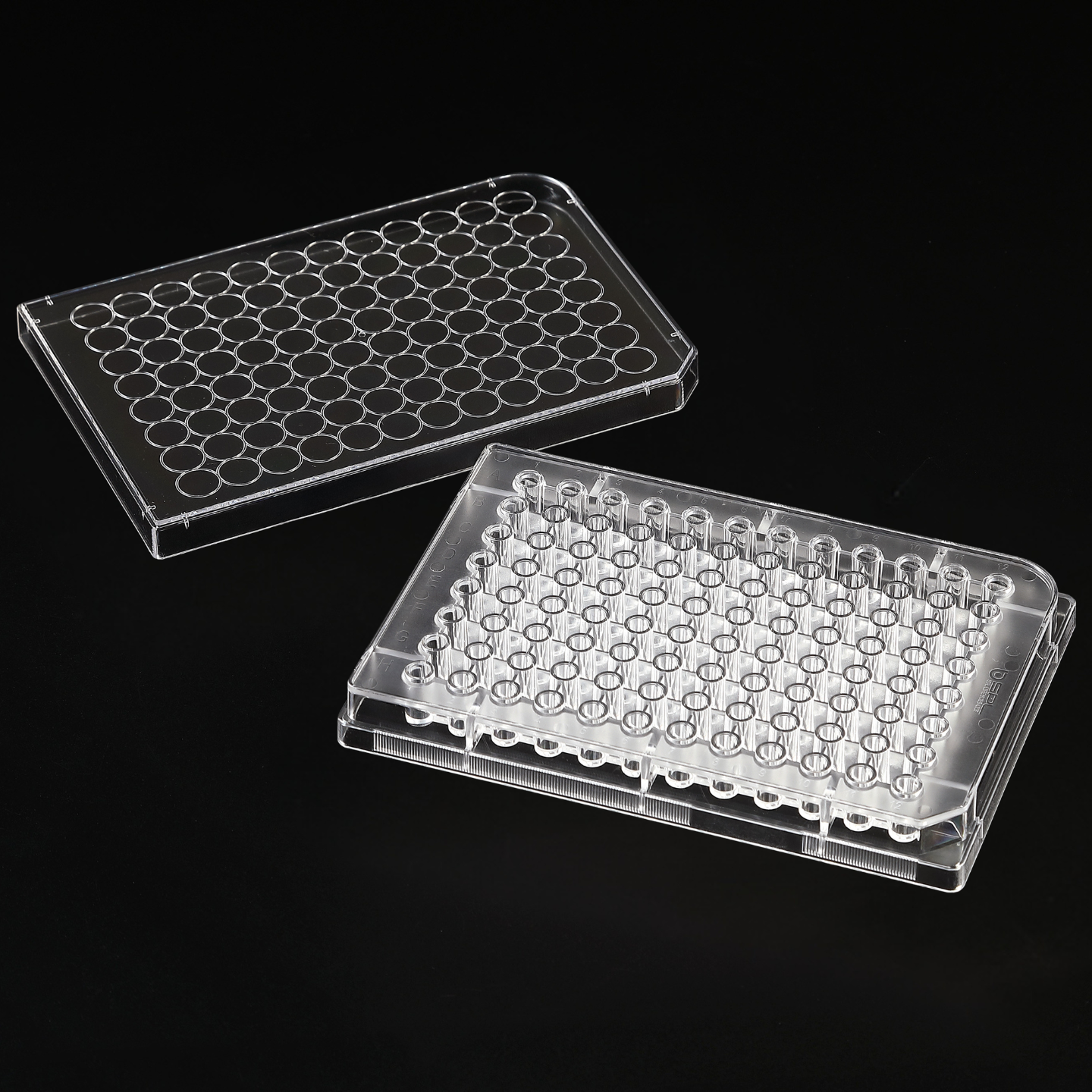 Cell Culture Plate